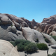 Illustration for article titled My first trip to Joshua Tree National Park